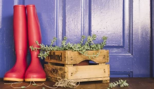 Дачный сезон.