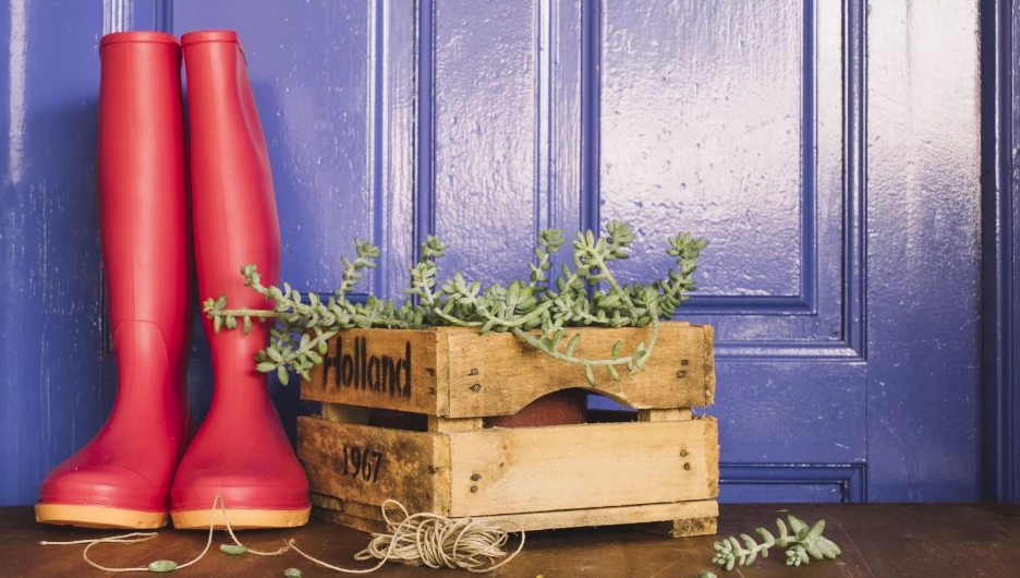 Дачный сезон.