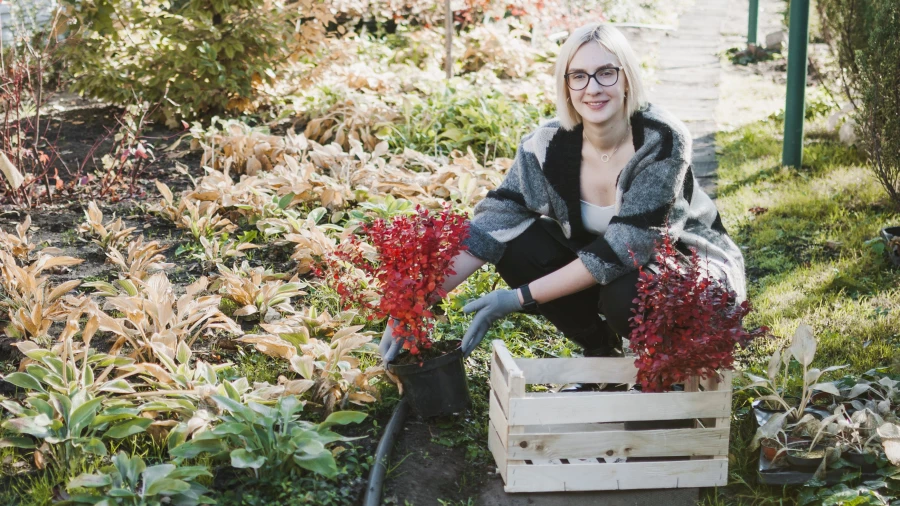 Дачный сезон.