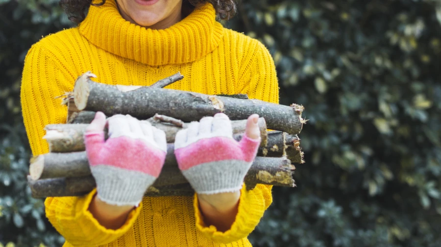 Дачный сезон.