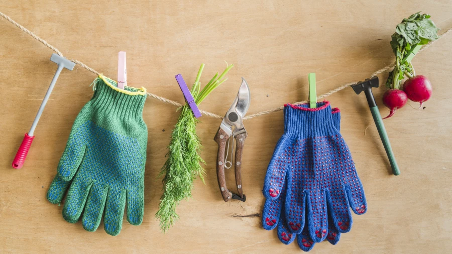 Дачный сезон.