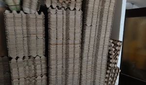 Картонные лотки для яиц