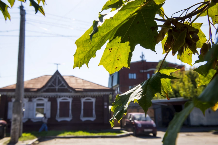 Осень в Барнауле. Природа