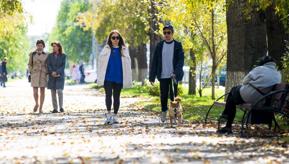 Осень в Барнауле. Природа