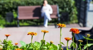 Осень в Барнауле. Природа