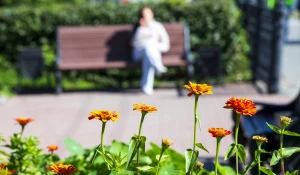 Осень в Барнауле. Природа