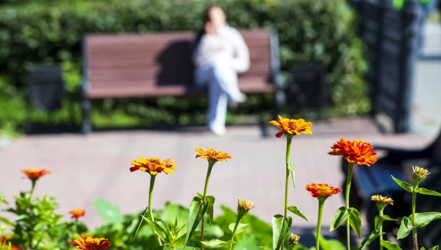 Осень в Барнауле. Природа