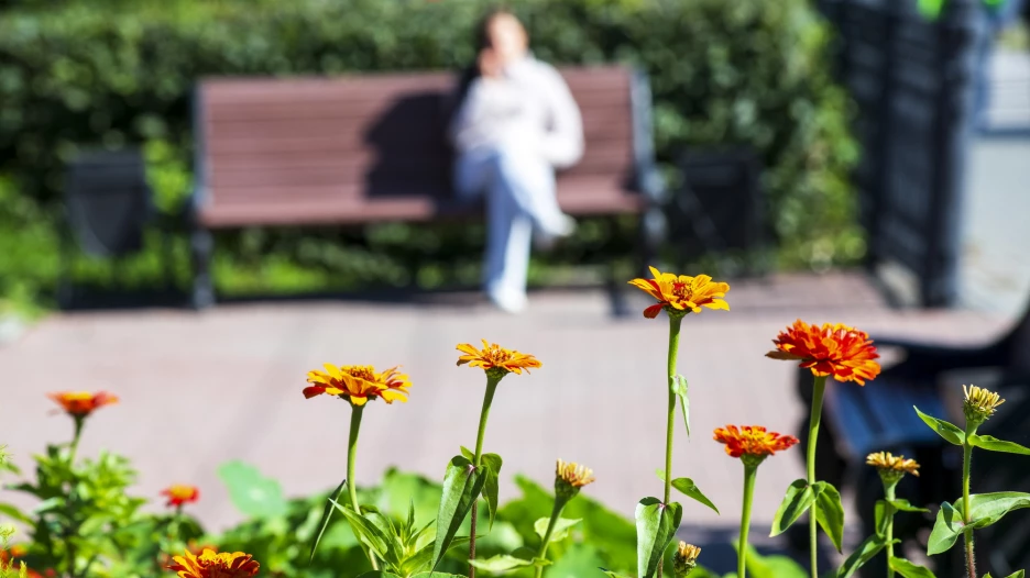 Осень в Барнауле. Природа