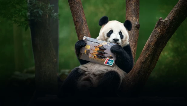 Платежные системы России поворачиваются на Восток.