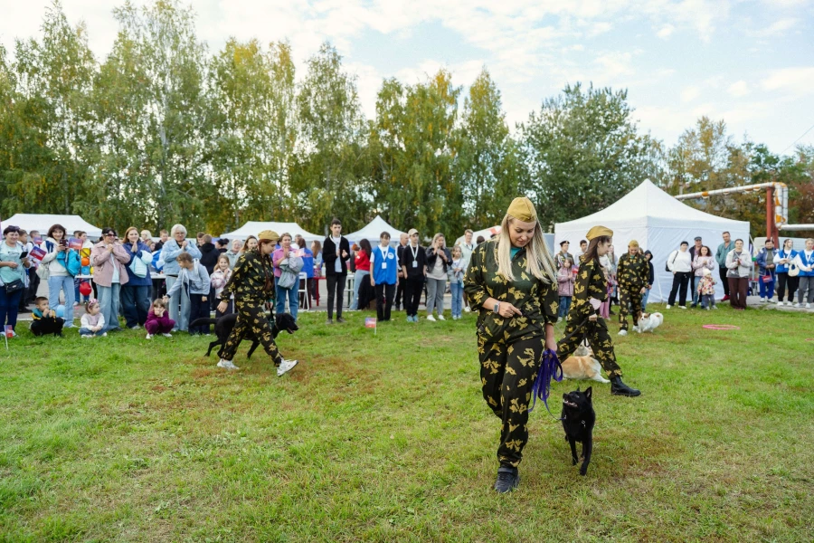 Патриотический фестиваль «Моя Родина — Россия» в Алейске.
