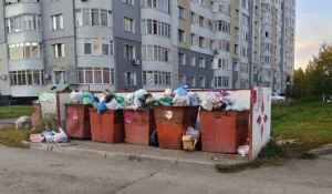 Мусор в Новоалтайске.