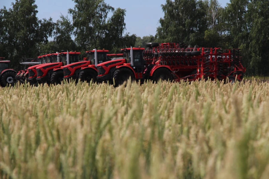 Уборочная 2025 года