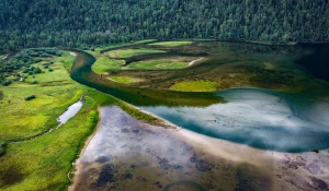 Подводный мир Телецкого озера.