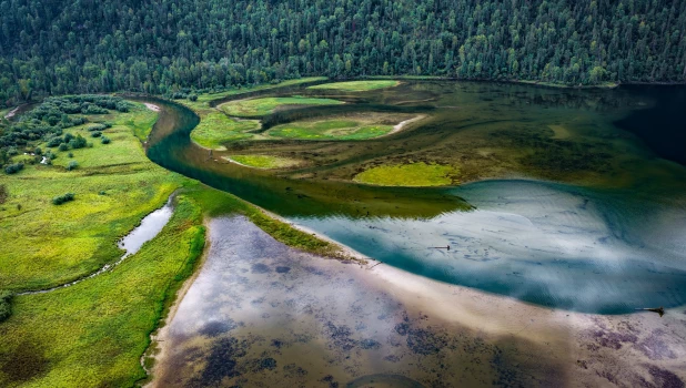 Подводный мир Телецкого озера.