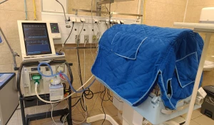 Аппарат для ингаляции оксидом азота. Отделение реанимации и интенсивной терапии новорожденных №2 в Центре охраны материнства и детства