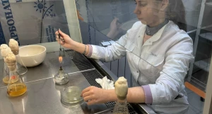 Химик Дарья Сороченко. Наука