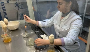 Химик Дарья Сороченко. Наука