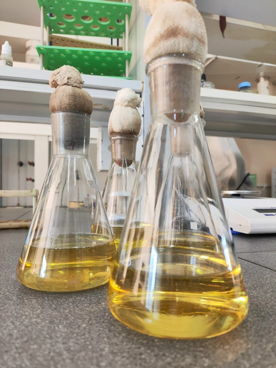 Наука. Пробирки. Химия