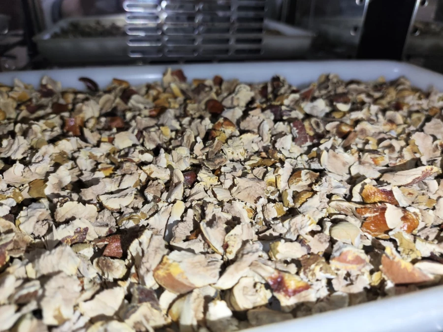 Грибы ганодерма. Наука