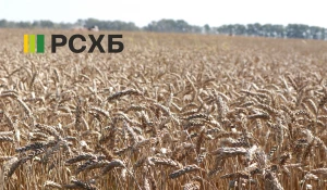 Россельхозбанк продолжает оформление кредитов на сезонные работы для аграриев на Алтае.