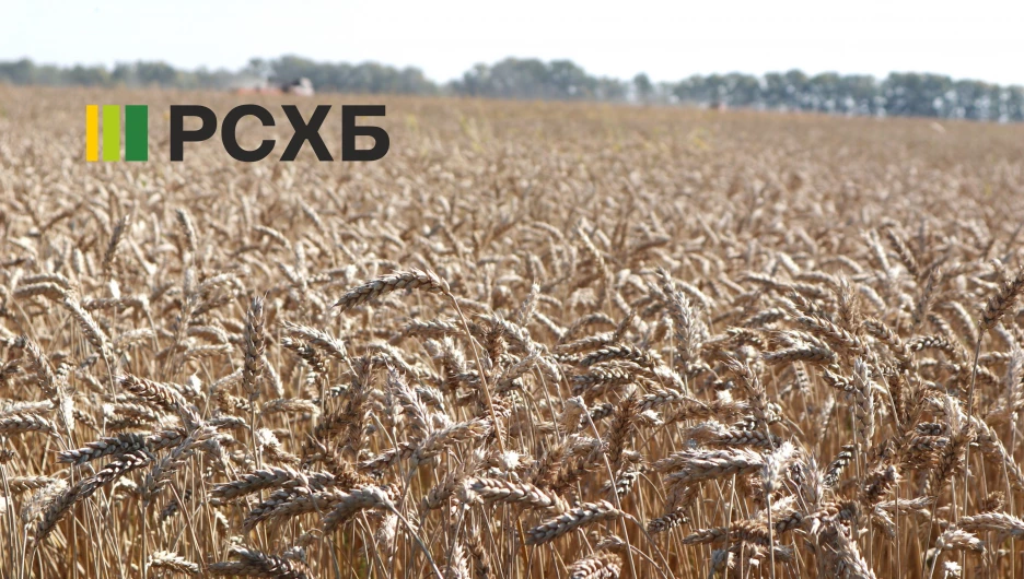 Россельхозбанк продолжает оформление кредитов на сезонные работы для аграриев на Алтае.