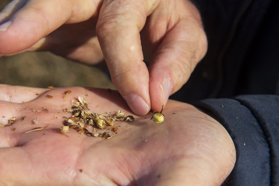 Фермерское хозяйство &quot;Березовая роща&quot;.