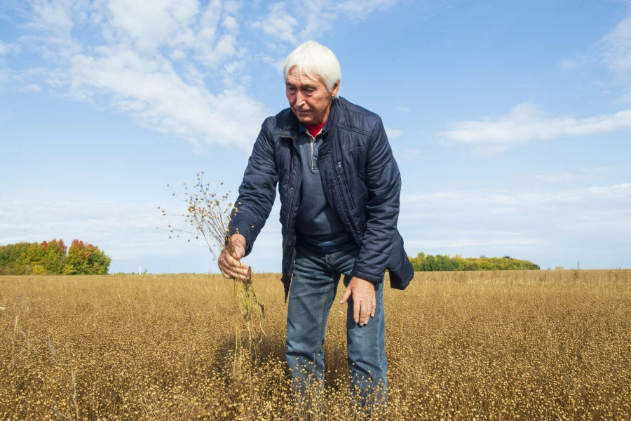 Фермерское хозяйство &quot;Березовая роща&quot;.