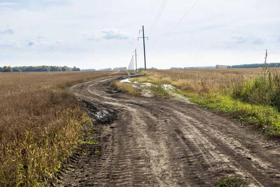 Фермерское хозяйство &quot;Березовая роща&quot;.