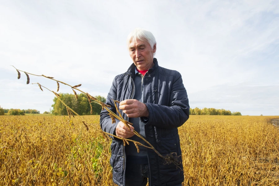 Фермерское хозяйство &quot;Березовая роща&quot;.