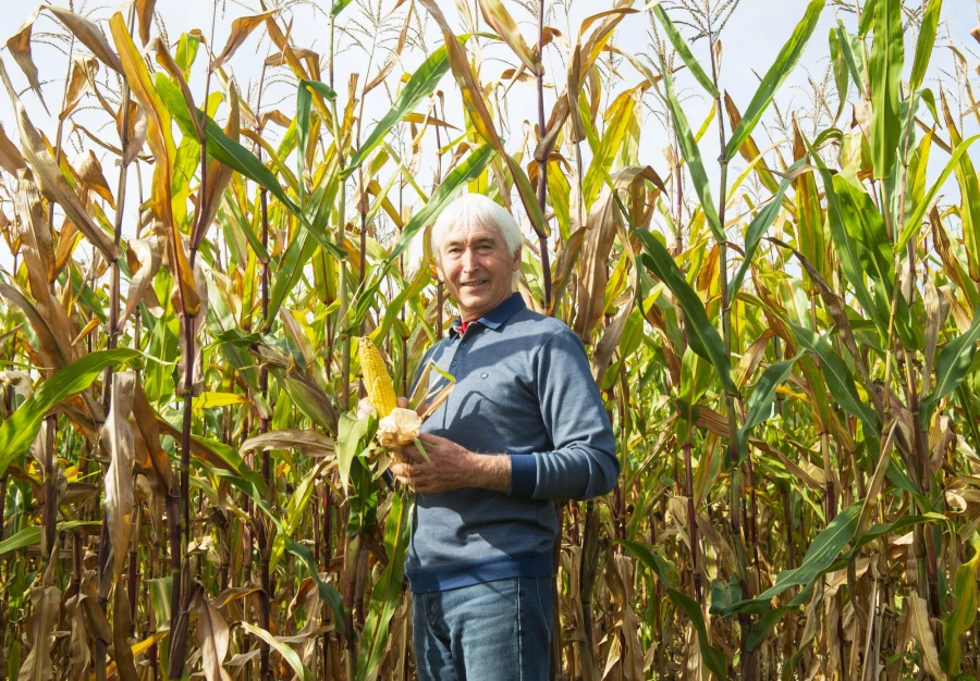 Фермерское хозяйство &quot;Березовая роща&quot;.