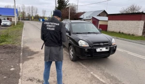 В Алтайском крае пьяный водитель насмерть сбил девочку.