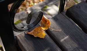 ГМИЛИКА, 2025 год.