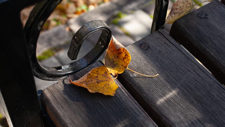 ГМИЛИКА, 2025 год.