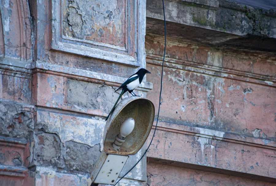 Первая барнаульская электростанция, 2025 год.