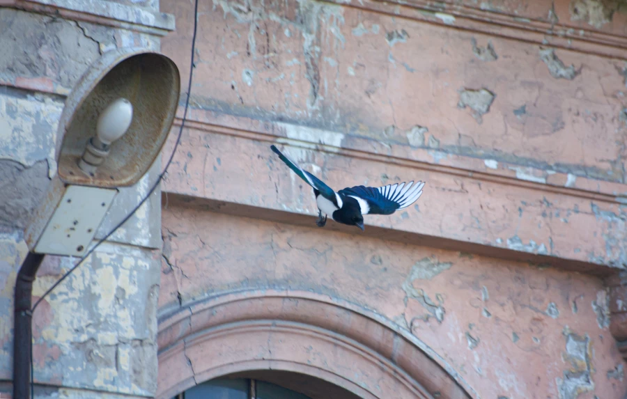 Первая барнаульская электростанция, 2025 год.