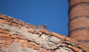 Первая барнаульская электростанция, 2025 год.