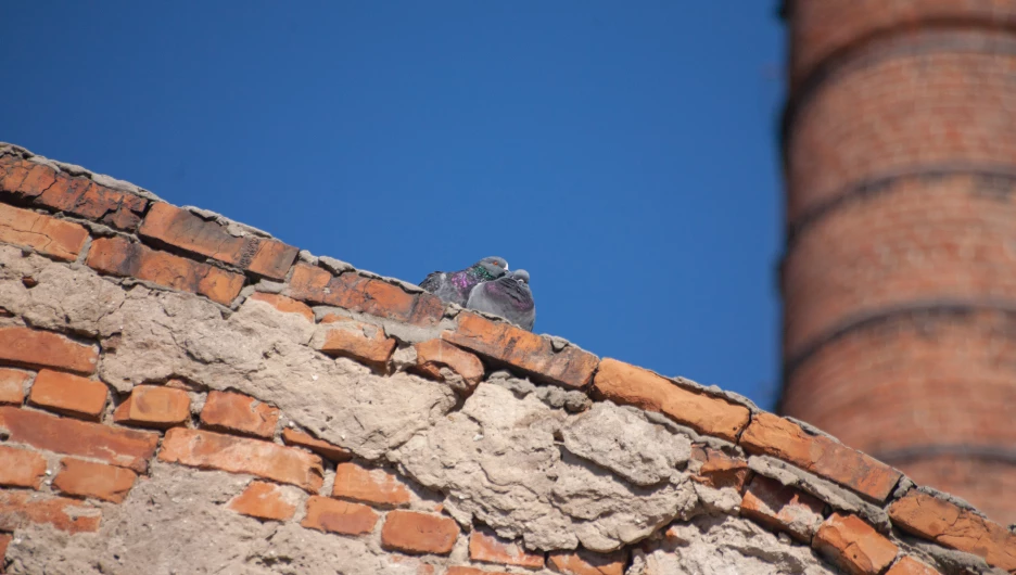 Первая барнаульская электростанция, 2025 год.