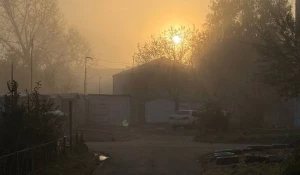 Туман в Барнауле 