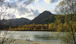 Катунь без осенней бирюзы.