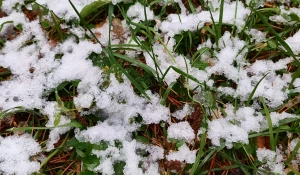 Снег 1 октября.