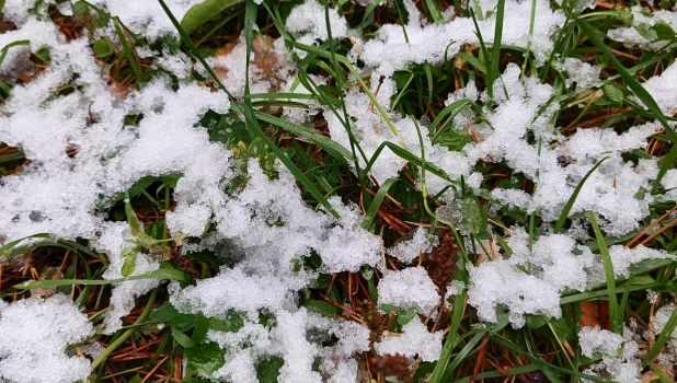 Снег 1 октября.