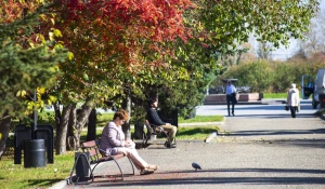 Осень в Барнауле, сентябрь-октябрь 2025. 
