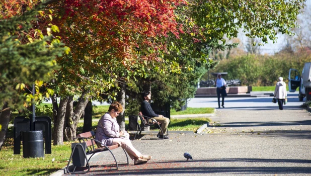 Осень в Барнауле, сентябрь-октябрь 2025. 