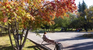 Осень в Барнауле, сентябрь-октябрь 2025. 