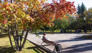 Осень в Барнауле, сентябрь-октябрь 2025. 