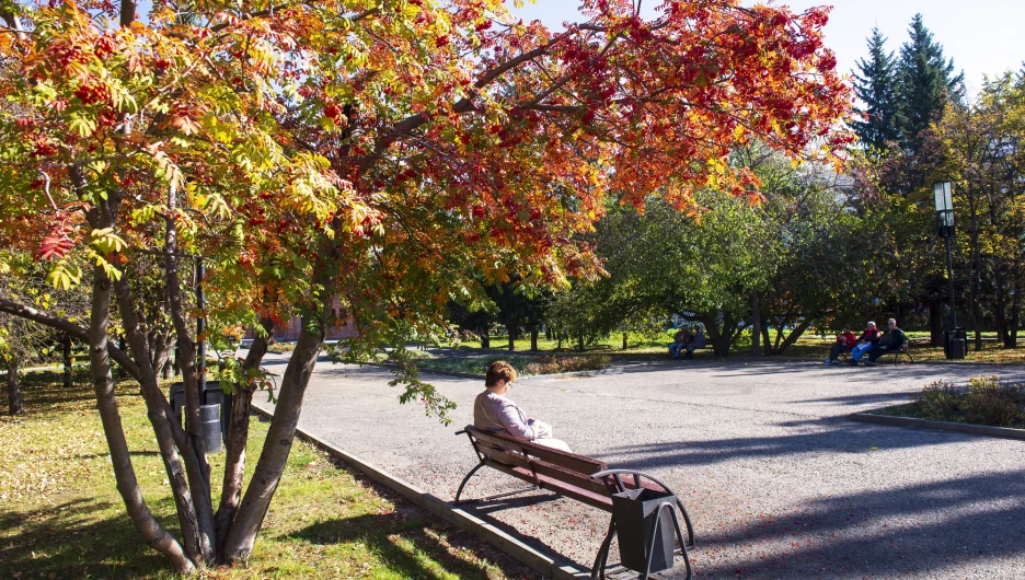 Осень в Барнауле, сентябрь-октябрь 2025. 