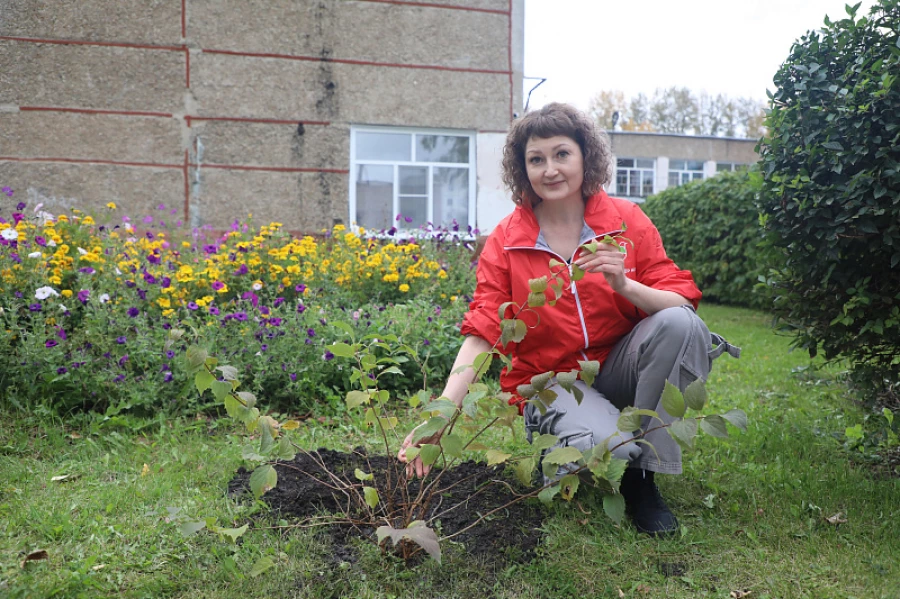 Волонтеры Алтай-Кокса высадили более 50 деревьев и кустарников.