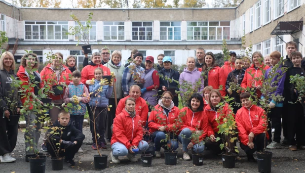 Волонтеры Алтай-Кокса высадили более 50 деревьев и кустарников.