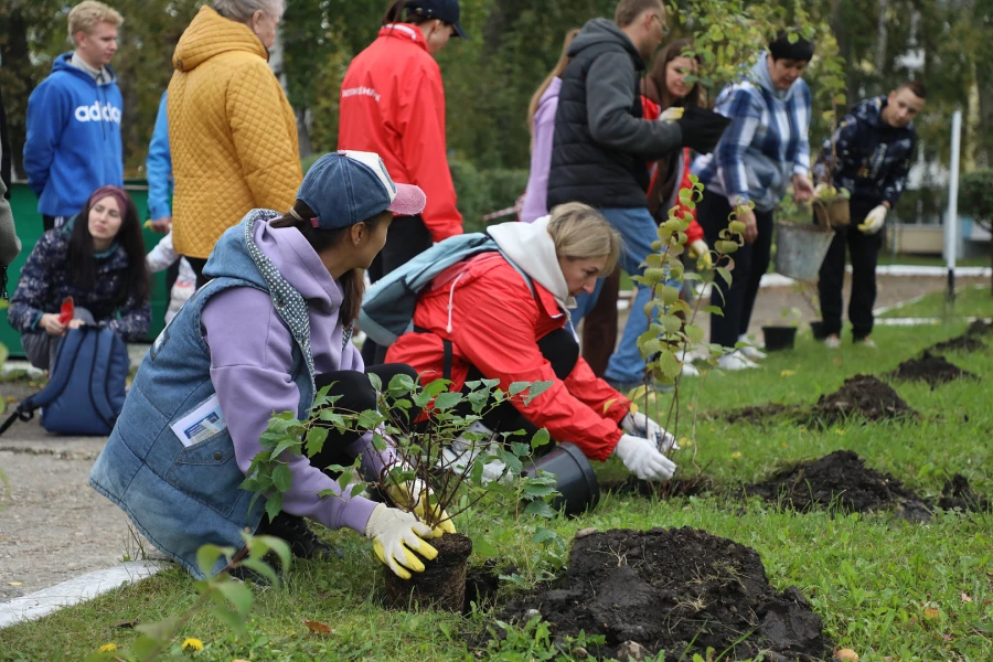 Волонтеры Алтай-Кокса высадили более 50 деревьев и кустарников.