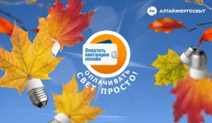 «Алтайэнергосбыт» предлагает 3 простых способа оплатить электроэнергию без комиссии.